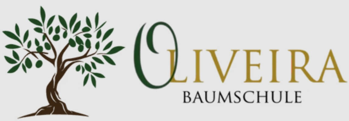 Baumschule Oliveira