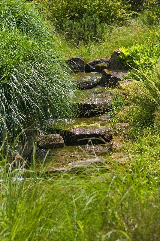 geheimen Garten