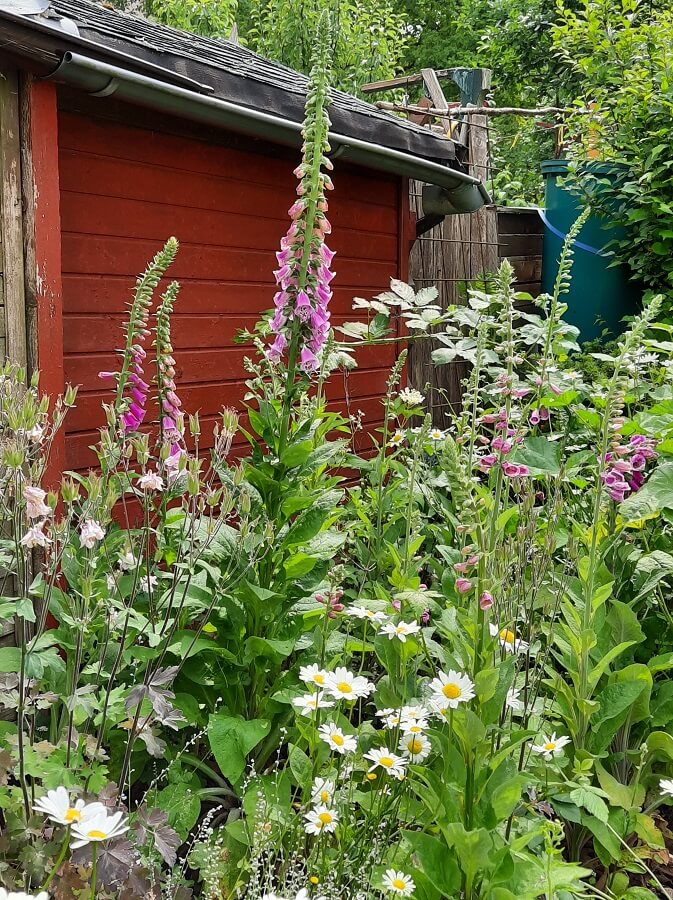 Maren's Garten
