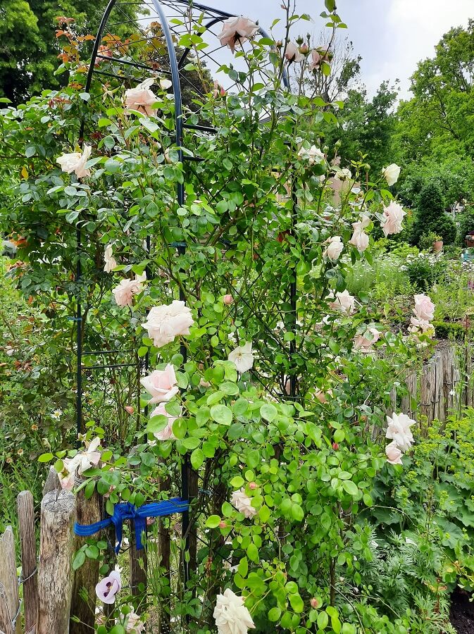 Maren's Garten