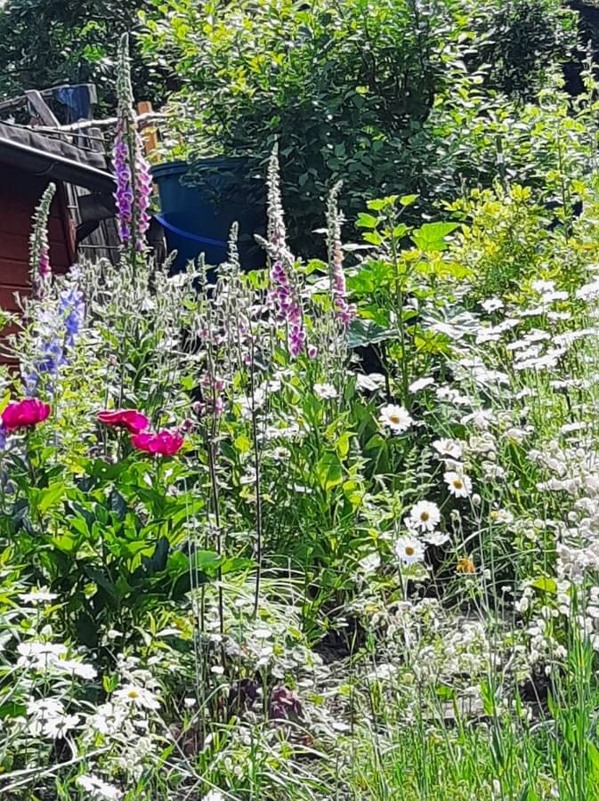 Maren's Garten