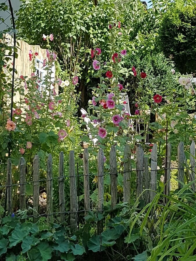 Maren's Garten