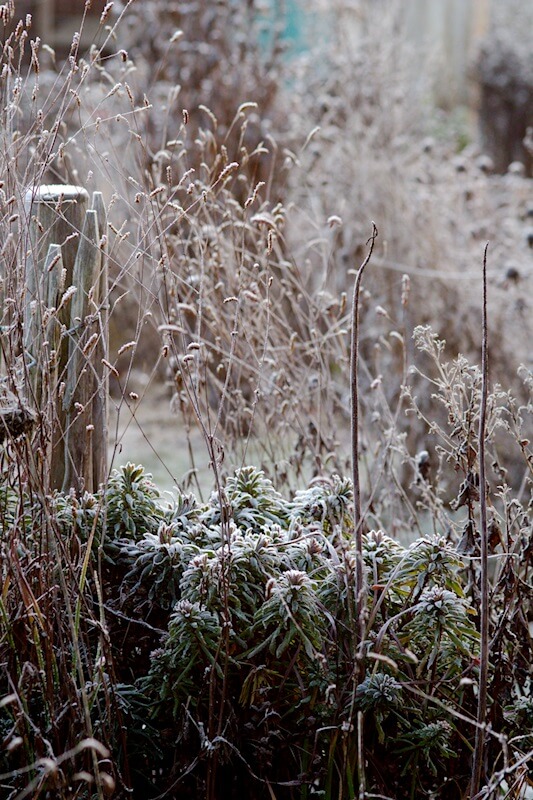 Gartenarbeit im Dezember