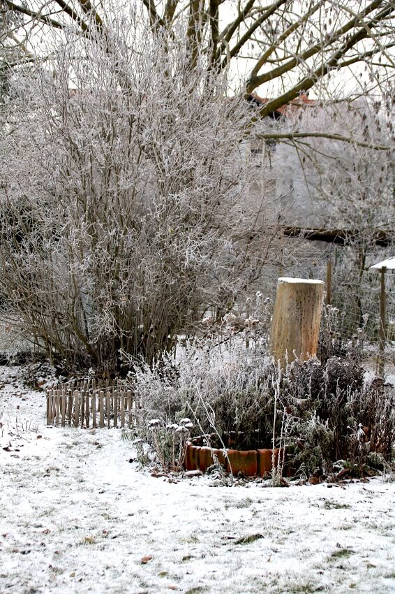 Gartenarbeit im Januar