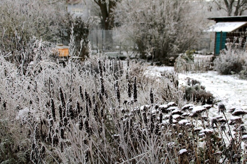 Gartenarbeit im Januar
Garten im Winter
