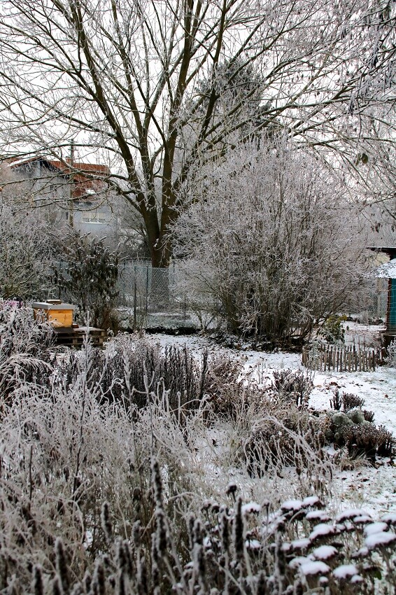 Gartenarbeit im Januar
Winter im Garten