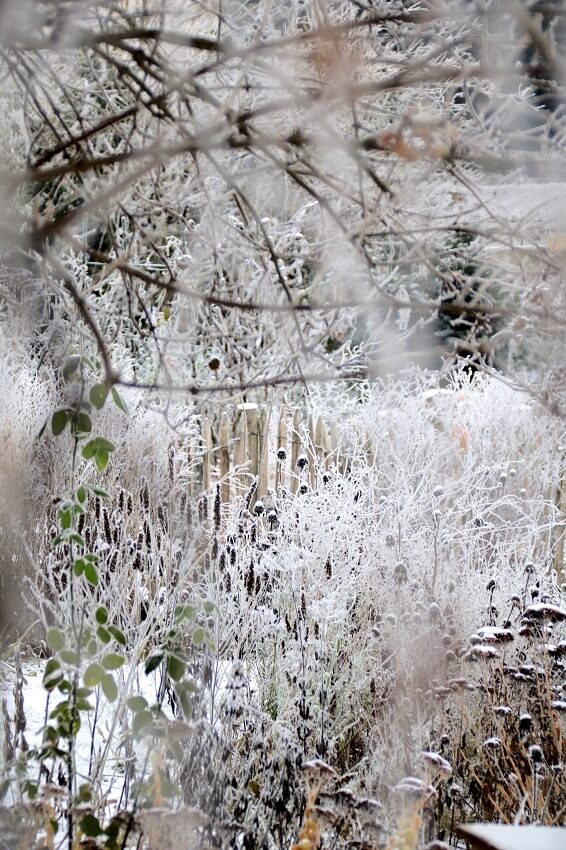 Gartenarbeit im Januar
Winter im Garten