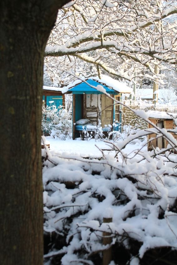 Winterlicher Garten