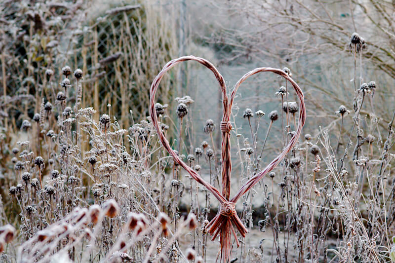 Stauden im Winter stehen lassen