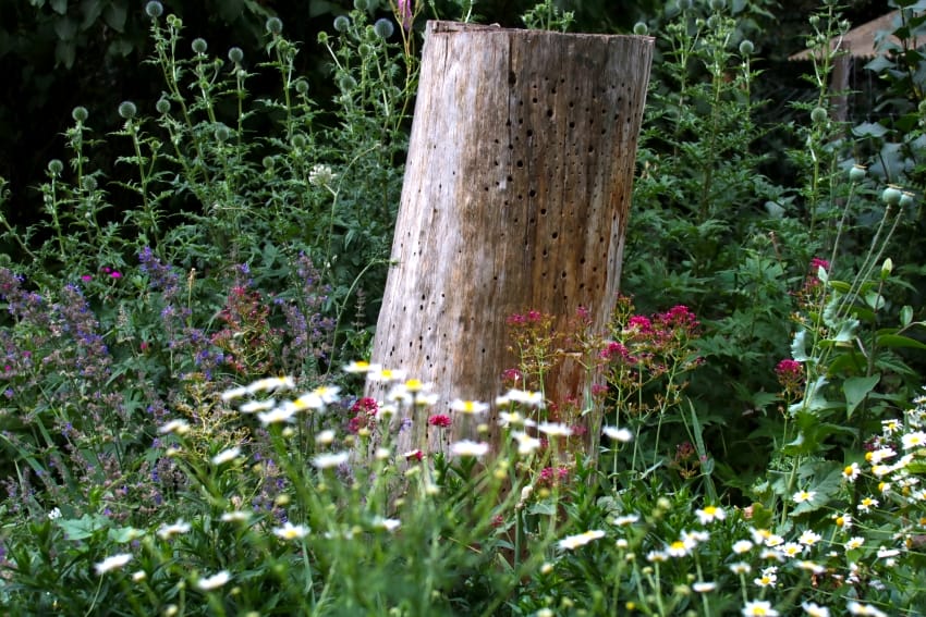 Lichtverhältnisse im Garten - sonniger Bereich in meinem Garten