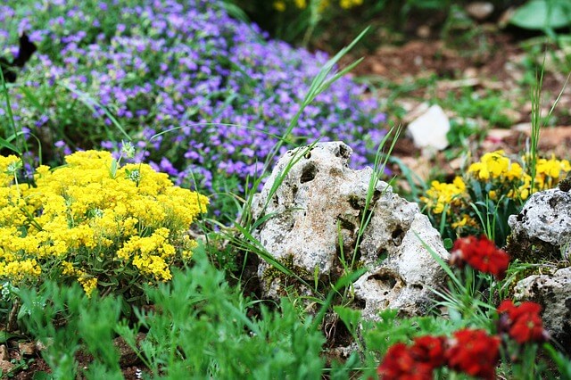 Steingarten Kiesgarten