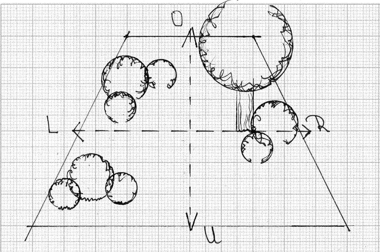 Garten mit Gehölzen gestalten