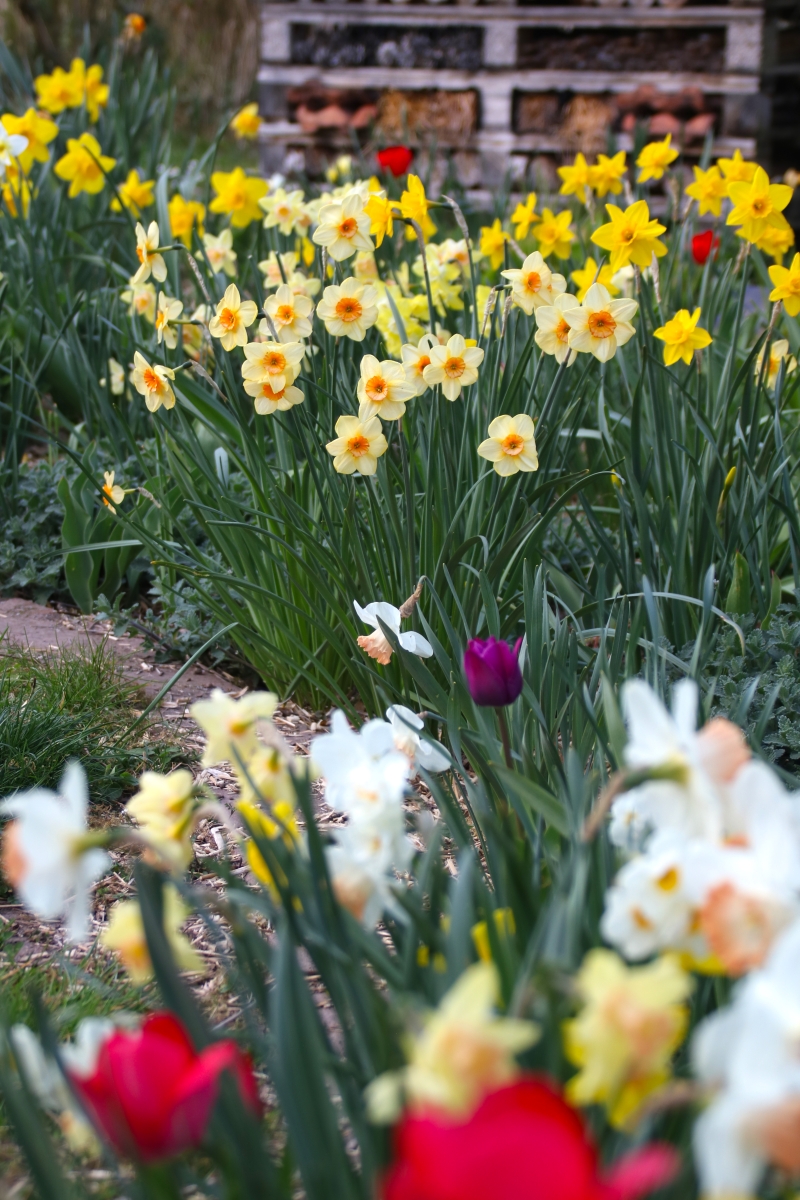 Gartenplaner werden