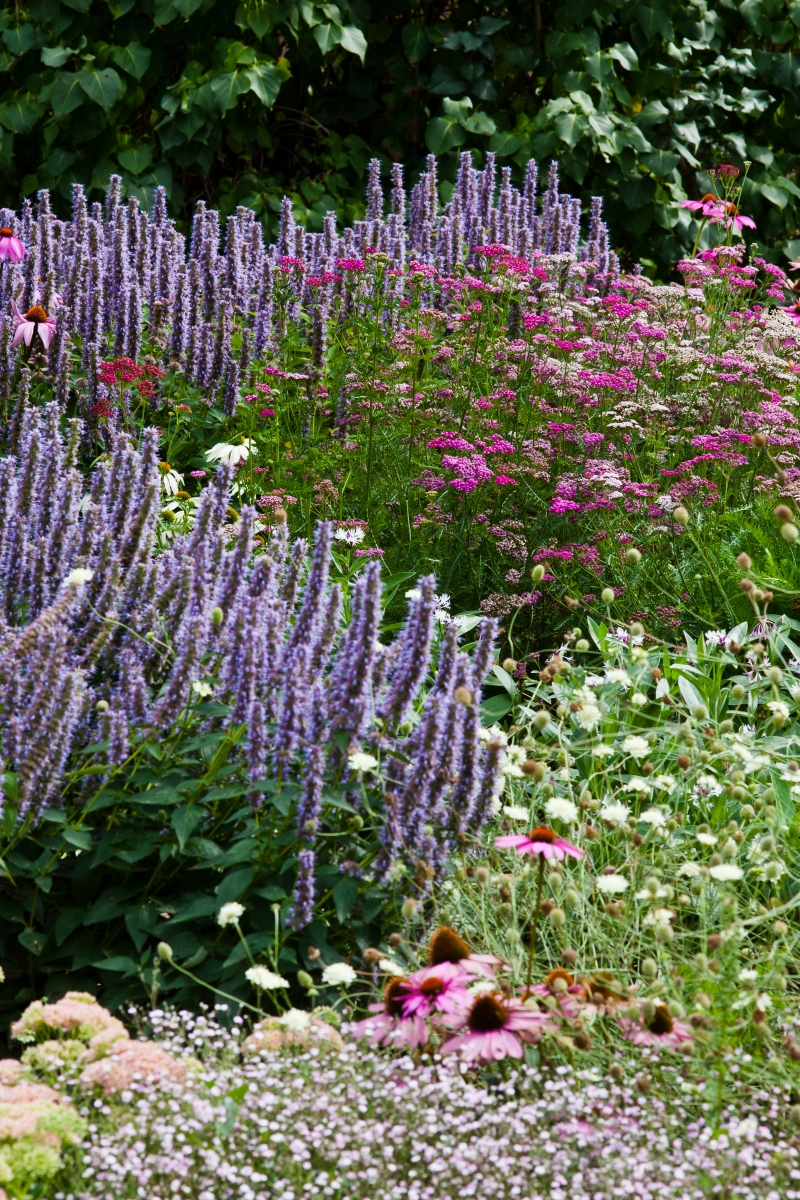 Gartenplaner werden
