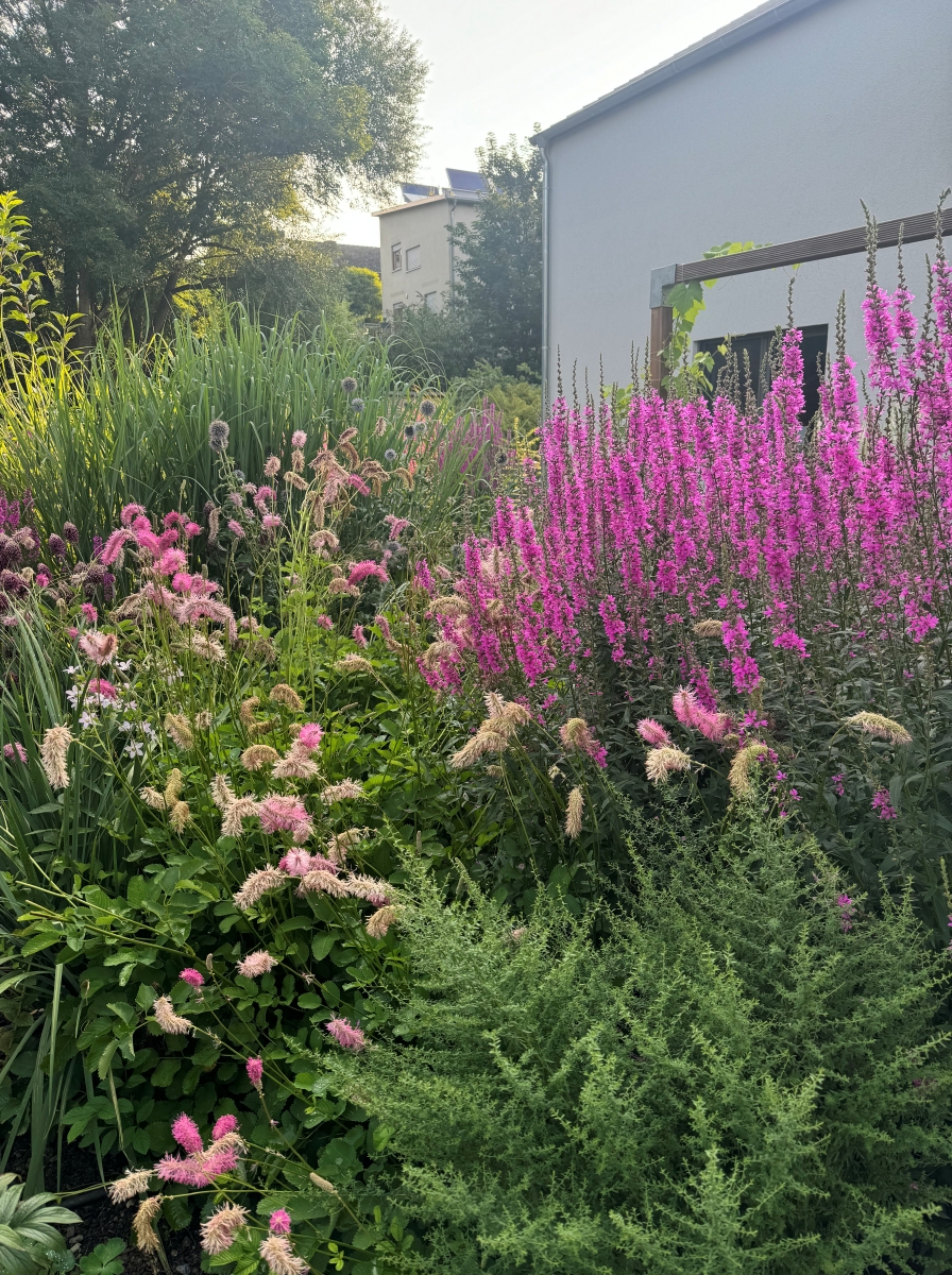 Gartenplanung