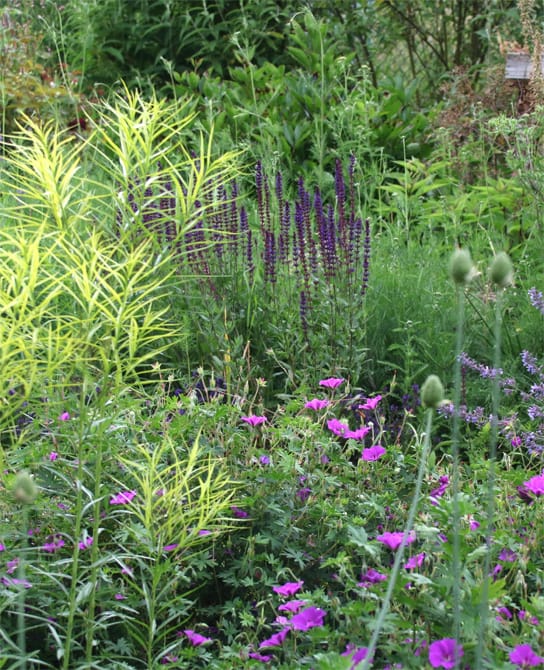Über Mich Mein Garten